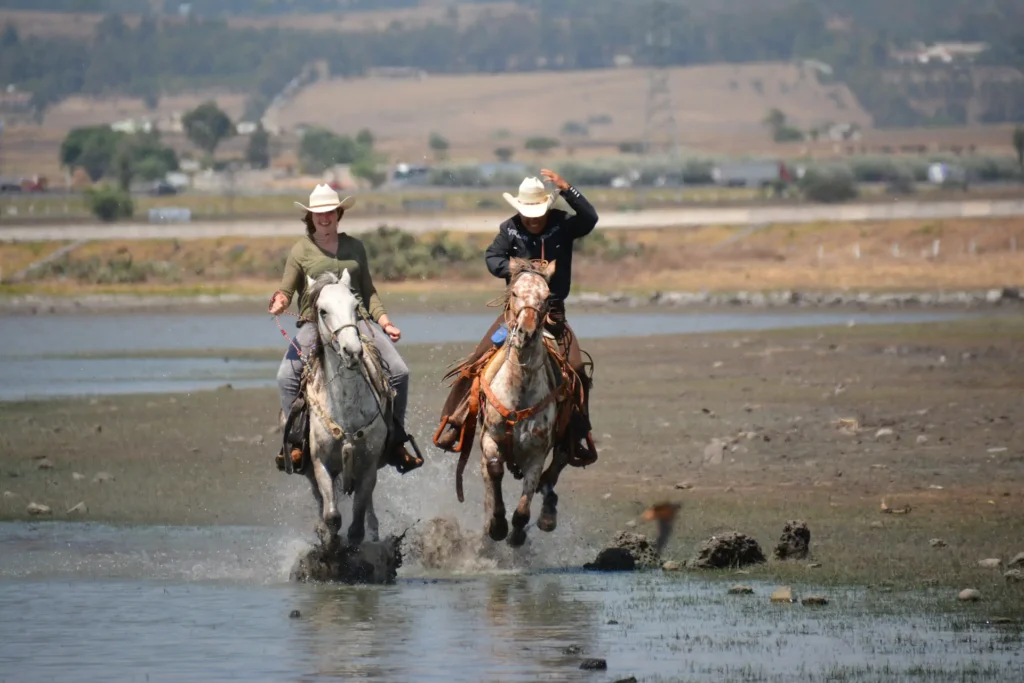 Best Destinations for Horseback Riding Holidays