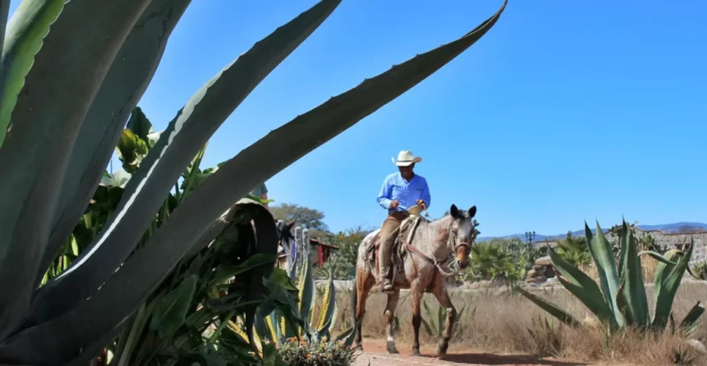 Rancho Las Cascadas Horseback Riding Holidays